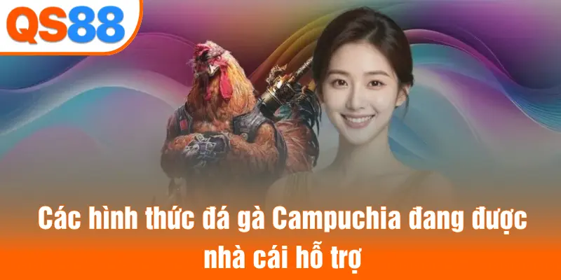 Các hình thức đá gà Campuchia đang được nhà cái hỗ trợ