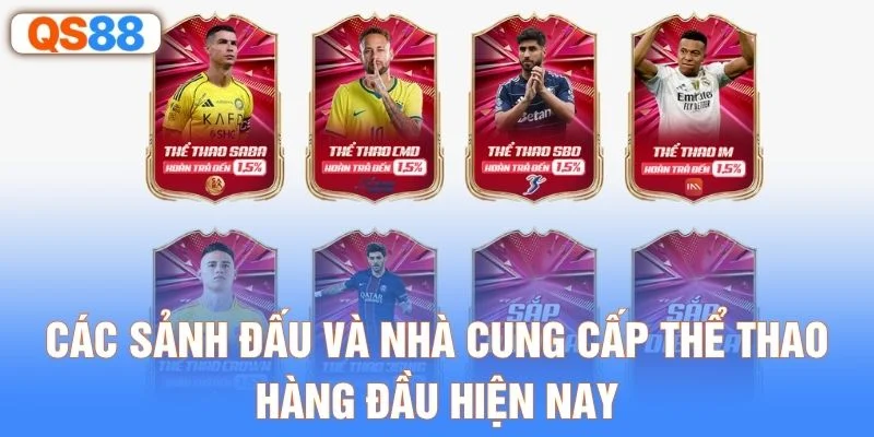 Các sảnh đấu và nhà cung cấp thể thao hàng đầu hiện nay