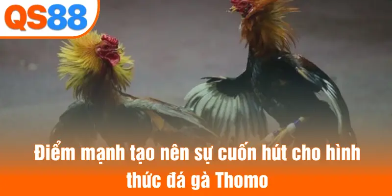 Điểm mạnh tạo nên sự cuốn hút cho hình thức đá gà Thomo