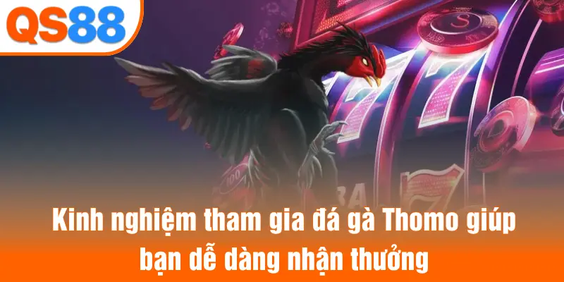 Kinh nghiệm tham gia đá gà Thomo giúp bạn dễ dàng nhận thưởng