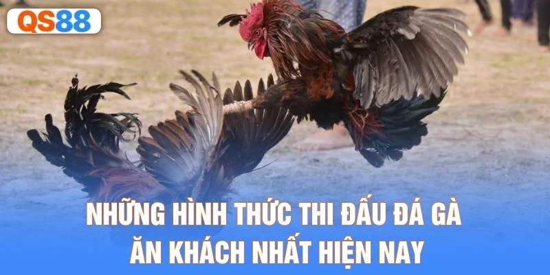 Những hình thức thi đấu đá gà ăn khách nhất hiện nay